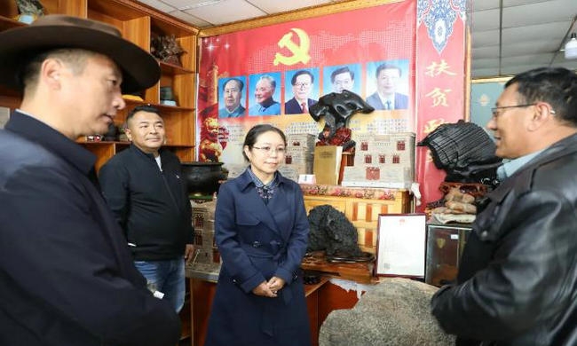 州委副書記、州長龍措深入玉樹市調(diào)研商業(yè)街打造、文旅